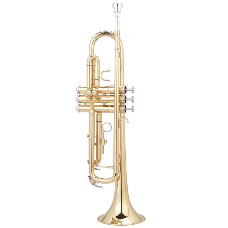 梵巢 FLOFAIR 中音小号 黄铜 漆金 初学 降B调 中音 入 乐队 小号乐器 FTR-600