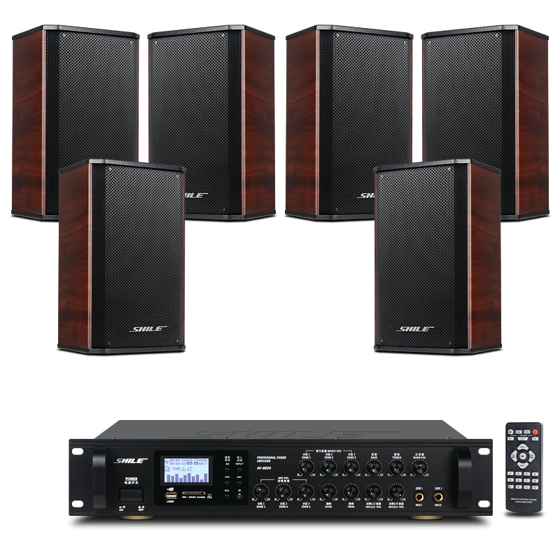 狮乐 会议室音响组合套装(功放+壁挂音箱)专业会议背景音乐音响系统 可选无线话筒套餐 8820+BX-108红*6