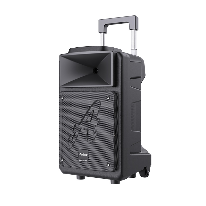 爱浪(Avlight)DT21-15广场舞音响户外移动拉杆便携式大功率直播K歌家用会议蓝牙音箱带双无线话筒