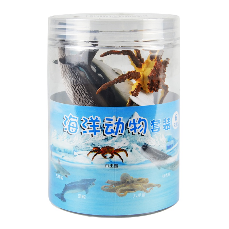 6只海洋动物圆筒装B款