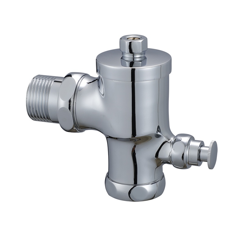 铜按钮式延时大便冲水阀 入墙式蹲坑自闭冲水器 手按式冲洗阀