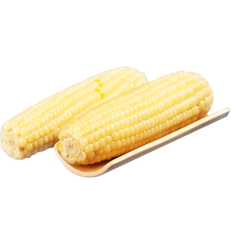 【中华特色】河北供销馆 糯妹子 白糯玉米200g*10根 真空包装熟制鲜食玉米 新鲜粘玉米杂粮粗粮早餐 河北张家口特产