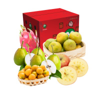 PAGODA百果园 建行专享水果礼盒B
