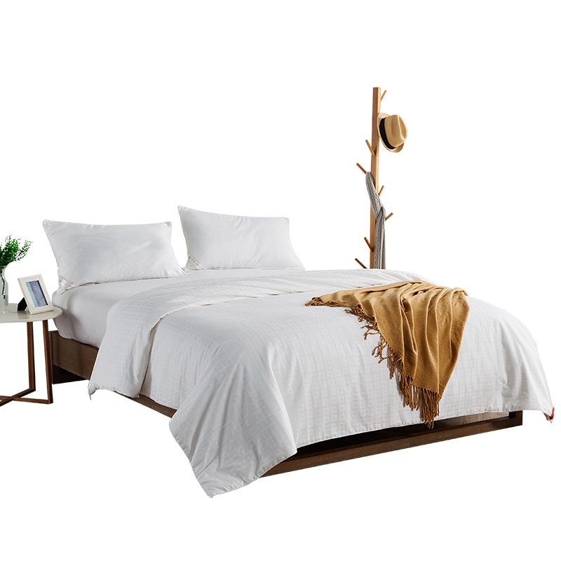 钱皇100%双宫茧桑蚕丝被 夏凉空调被春秋四季通用子母被 成人儿童蚕丝被 回纹