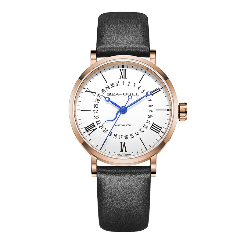 海鸥表(SEAGULL) 海鸥手表男女时尚个性自动机械表似水流年国民系列情侣对表 819.17.6053