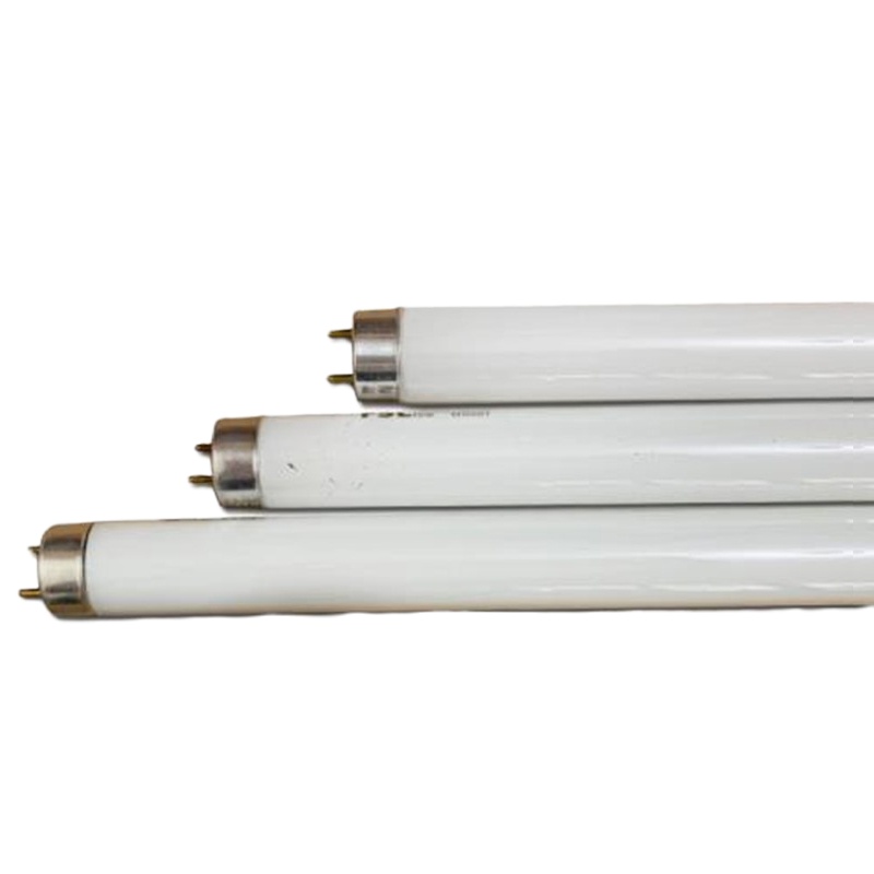 飞利浦 飞凡系列LED灯管 T8 8W长度600mm 白光6500K 单端进电 20支