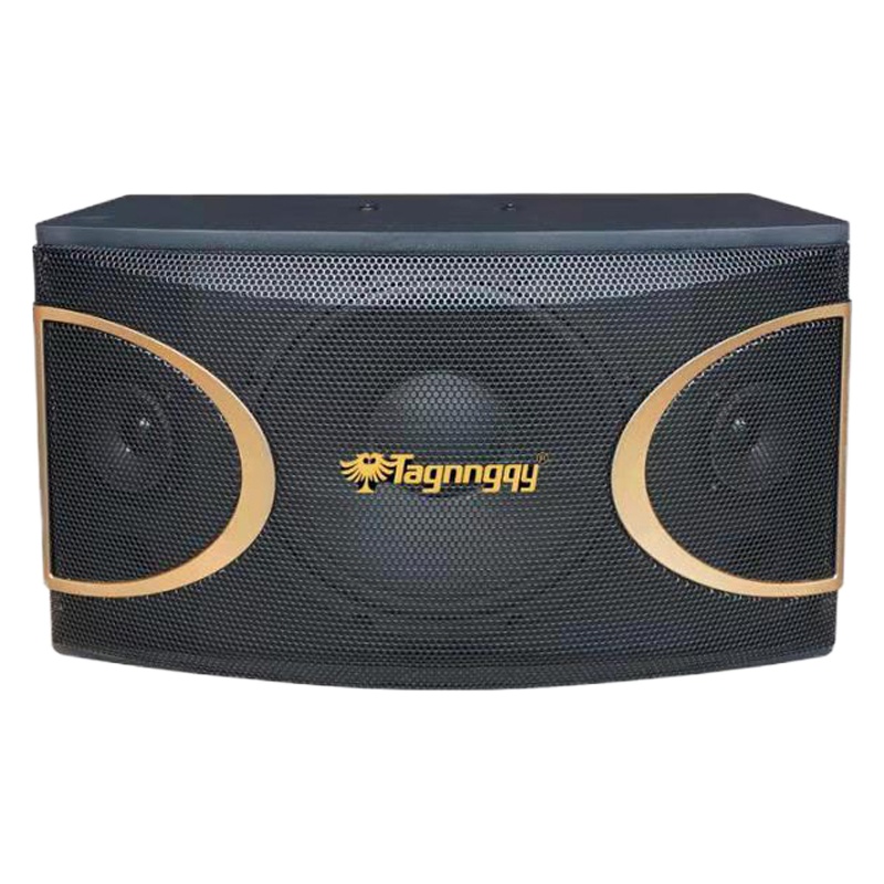 天朗(Tagnngqy)无线会议家庭影院音响定制套装