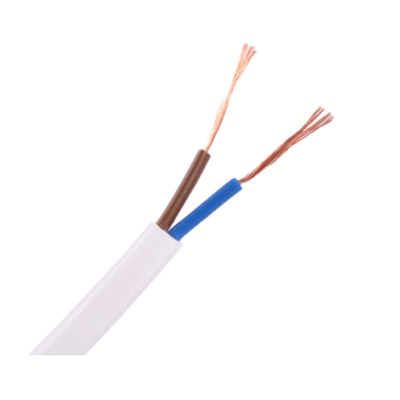 国标护套线 电线电缆 RVV2*10 100米/盘 1盘