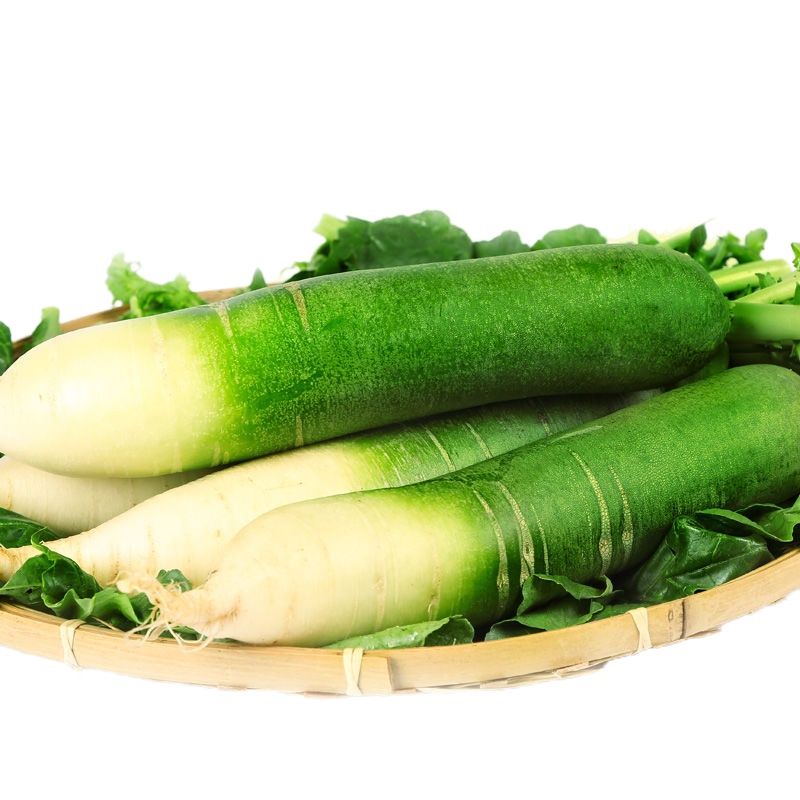 [10斤带箱] 当季现拔甜脆水果萝卜新鲜蔬菜潍坊潍县萝卜非沙窝萝卜青萝卜甘鲜生