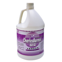 超宝(CHAOBAO) DFF021 不锈钢保养剂清洁剂清洗液3.8L (单位:瓶)