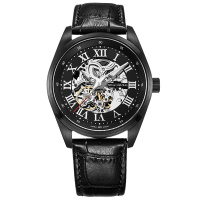 海鸥表(SEAGULL) 时尚休闲 迭代系列新款离子镀高冷黑钢镂空自动男士 机械表 男D819.611HK