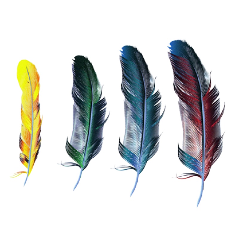 车贴划痕装饰遮挡汽车改装贴纸膜车身贴个性创意羽毛防水贴花