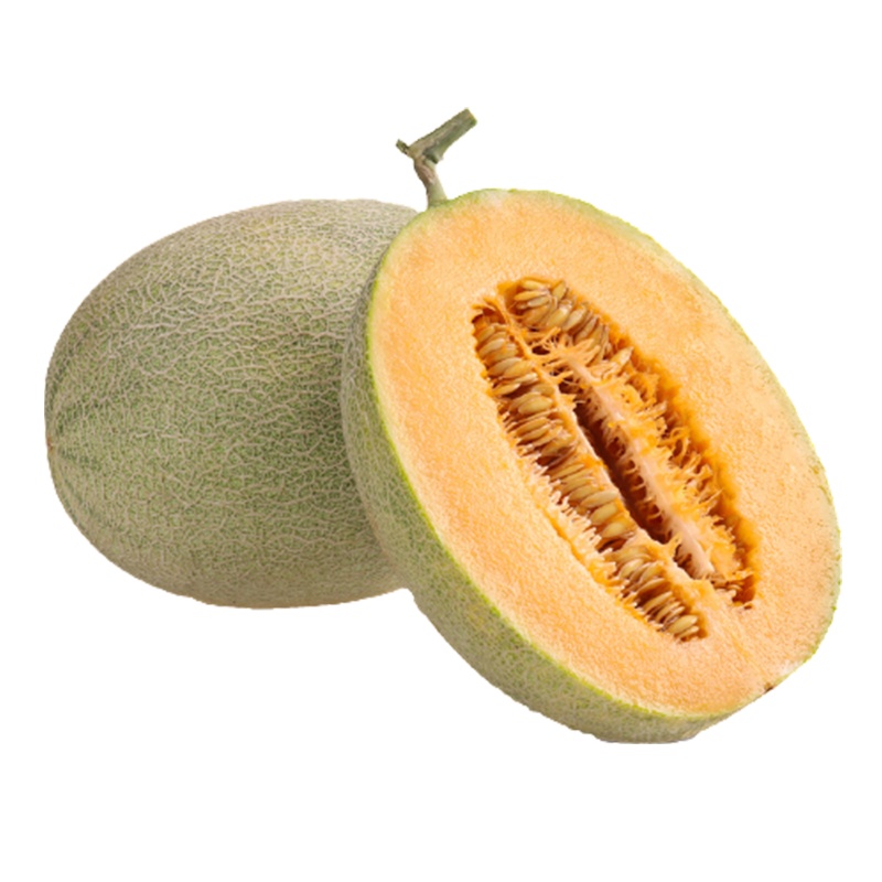 [西沛生鲜]新鲜哈密瓜 净重2.7斤 1个左右 应季水果 新鲜甜瓜 鲜果 西沛水果