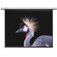 快朵小屋 72英寸16:9白塑电动幕布 投影机幕布 投影仪幕布投影布 办公会议家用屏幕 [标配遥控器]