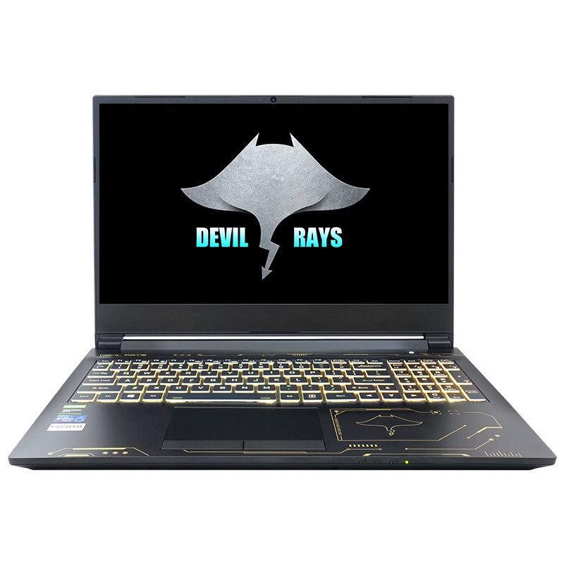 未来人类魔鬼鱼DR520-1653SH1 15.6英寸发烧级游戏本设计本笔记本电脑i5-10300H GTX 1650Ti 4G显存高色域电竞屏单根16G内存 256G PCIe