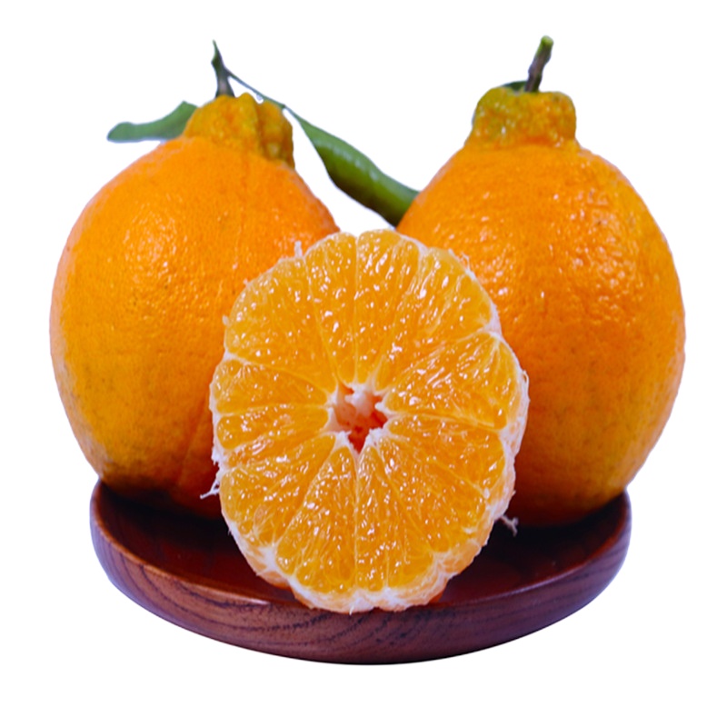 采缇(CAITI)四川不知火丑橘丑八怪桔子新鲜3斤5斤9斤整箱应季孕妇水果丑柑耙耙