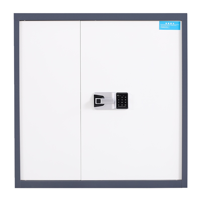 永格保密柜文件柜资料柜钢制带锁储物柜双保险电子指纹密码锁防盗铁皮柜灰白色通双节带
