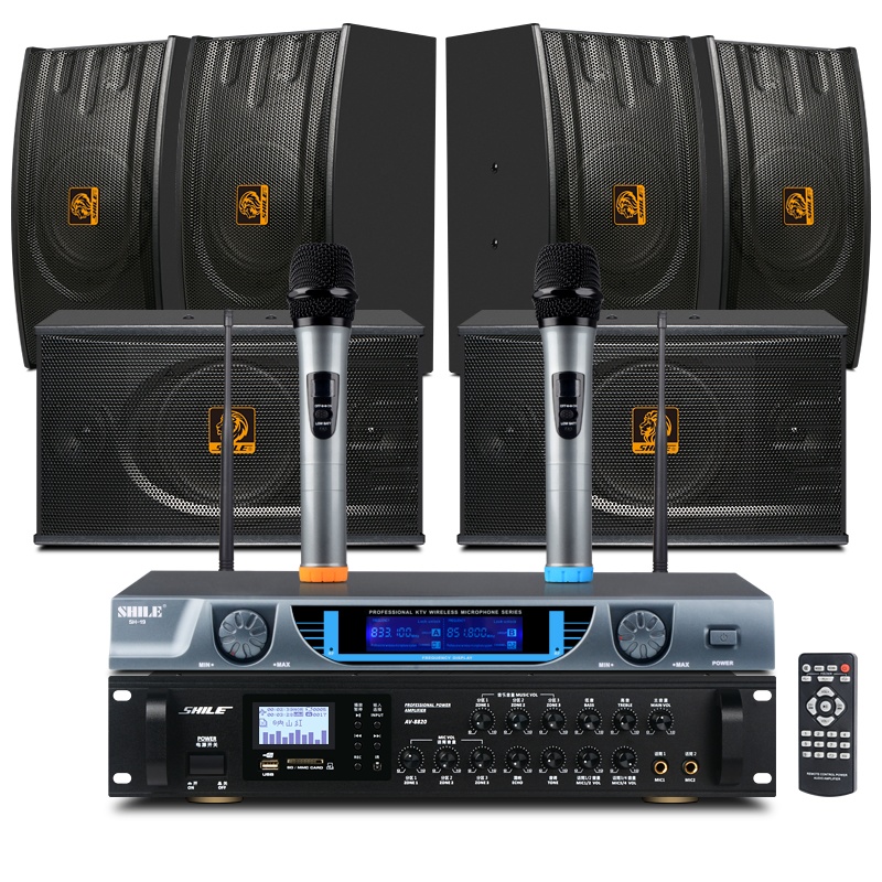 狮乐会议室音响组合套装(功放+壁挂音箱)专业会议背景音乐音响系统可选无线话筒套餐 8820+118黑*6+09话筒