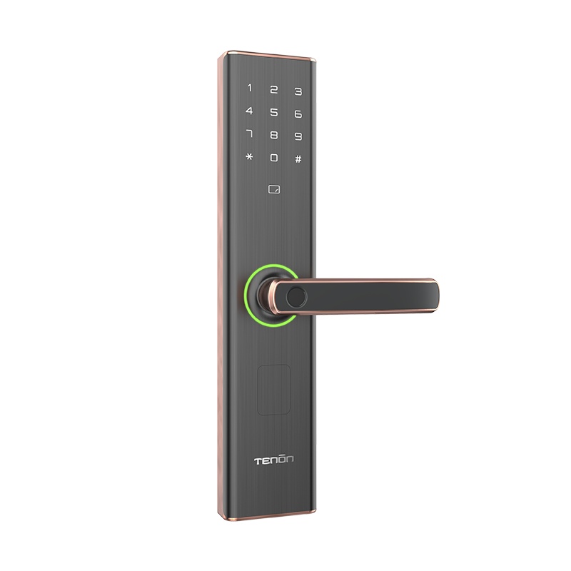 亚太天能(TENON)微信智能指纹锁家用指纹密码锁电子门锁E5C 红古铜