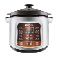 天际微电脑电炖锅 DGD50-50LD