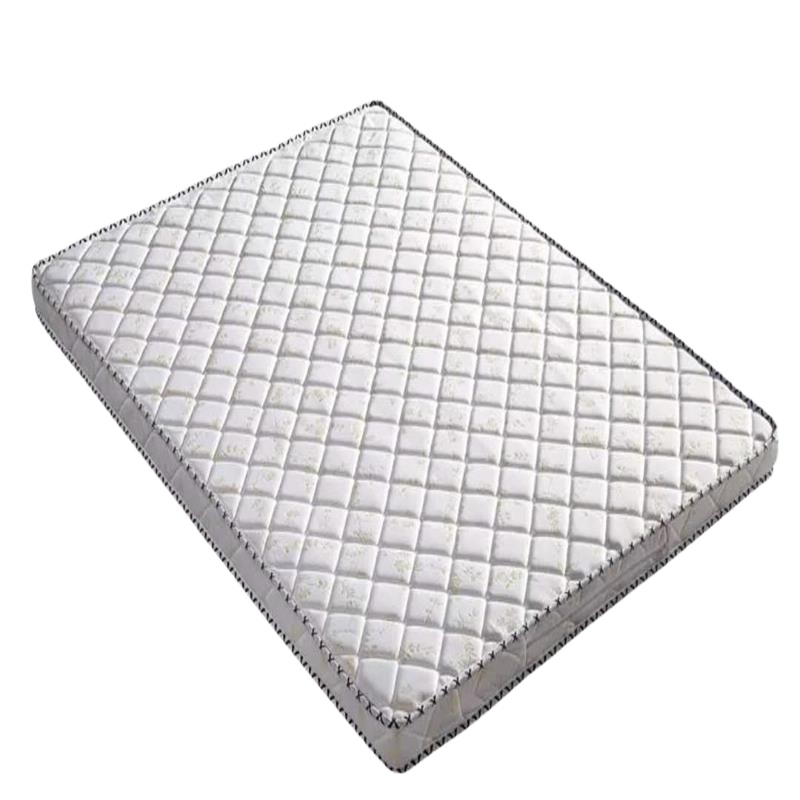 颂泰 ZD-12 5公分棕垫