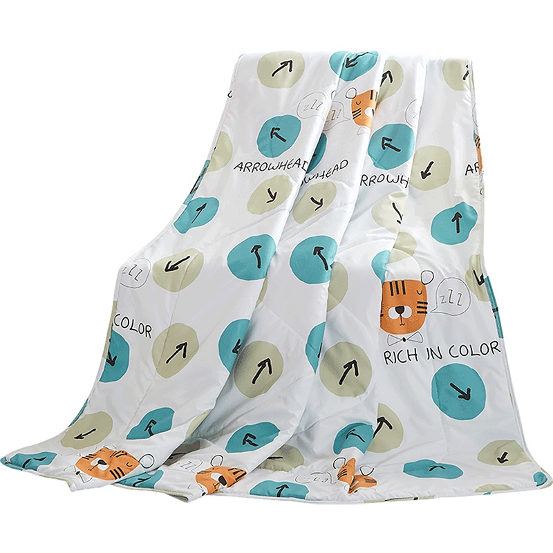 南方寝饰夏天可水洗空被夏凉被单人学生宿舍双人春秋薄被子被芯