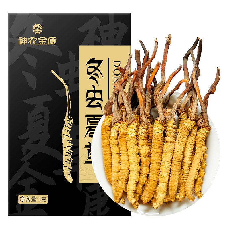 礼盒装 神农金康 冬虫夏草4条/g 西藏那曲高海拔虫草10g