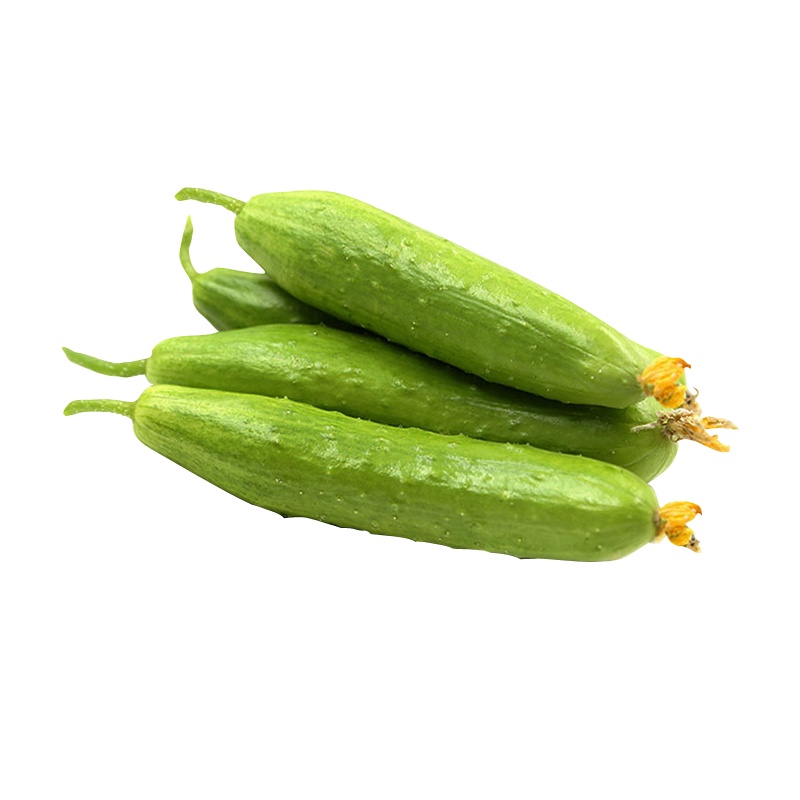 山东海阳白玉小黄瓜水果黄瓜2.5kg新鲜采摘