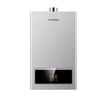 韩国现代(HYUNDAI)12升燃气热水器 JSQ23-H12L恒温节能 家用天然气低水压启动 智能防冻 全屋多点供水