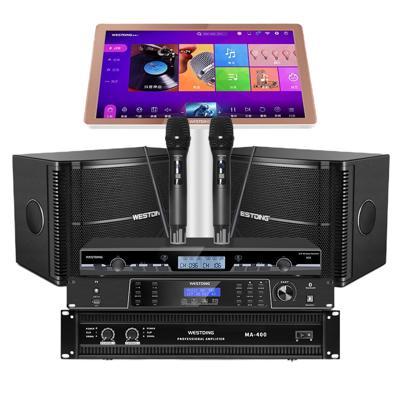 威斯汀12英寸双系统影K ktv音响套装 家庭影院音响组合专业卡拉ok