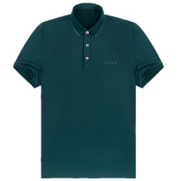 布先生新款短袖T恤 商务正装丝光棉翻领中年上衣夏款AT10801