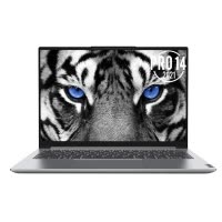 联想(Lenovo)小新Pro14高性能超轻薄笔记本电脑(i5-1135G7 16G 512G MX450 2.2K全面屏 高色域)银