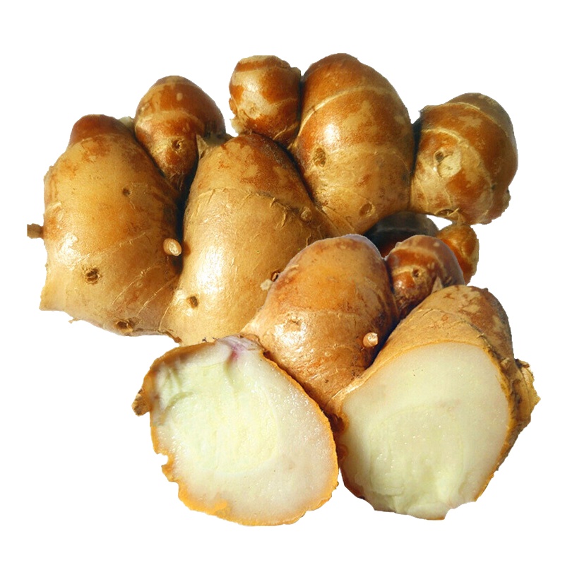 新鲜沙姜 生姜山奈子沙姜鸡白切鸡配料山辣土姜 1kg