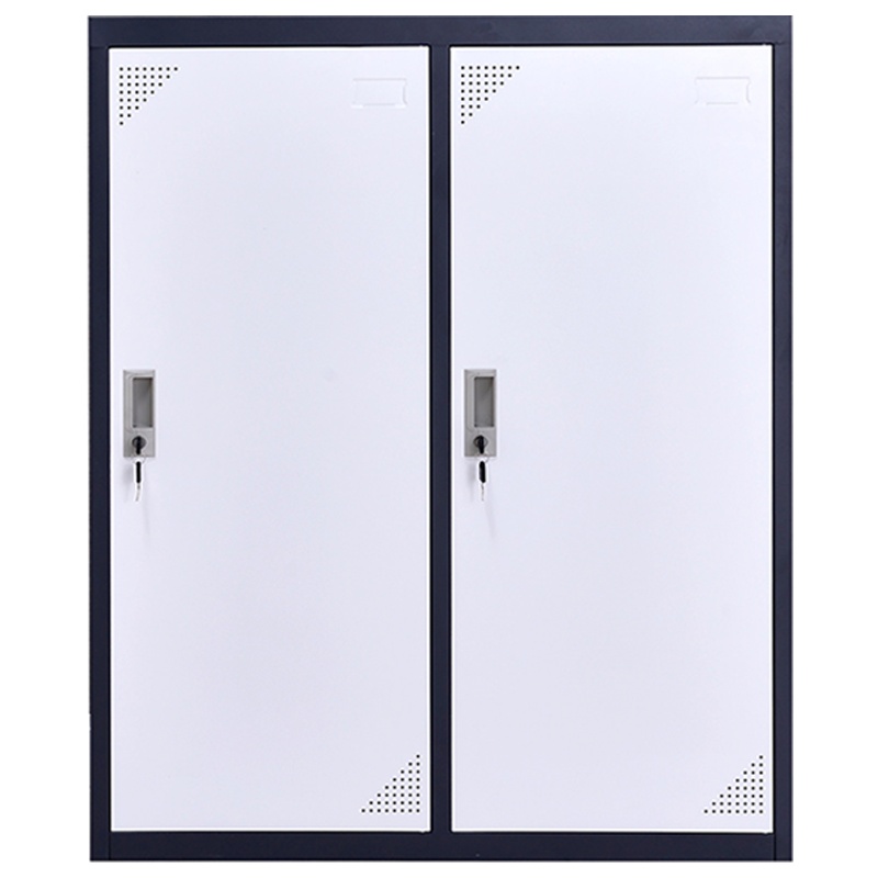 三圣 办公家具钢制拆装更衣柜铁皮柜员工宿舍储物寄存包柜矮柜小二门