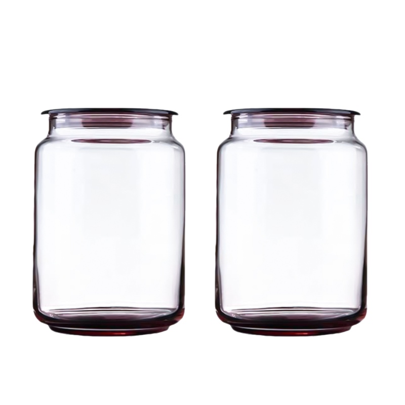 乐美雅玻璃密封罐储物罐大号干果罐子 奶粉罐储藏罐零食玻璃瓶冰粉750ML2 只 J4008