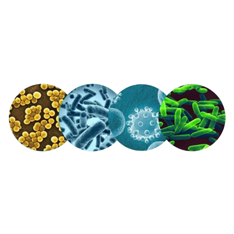 稳健免洗酒精洗手液 (500ML)