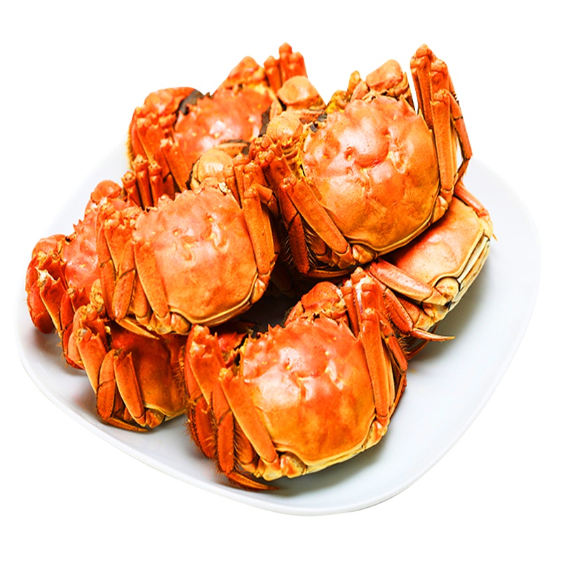 买8只送2只餐中王鲜活大闸蟹鲜活螃蟹1.5-1.8两母蟹鲜活大闸蟹