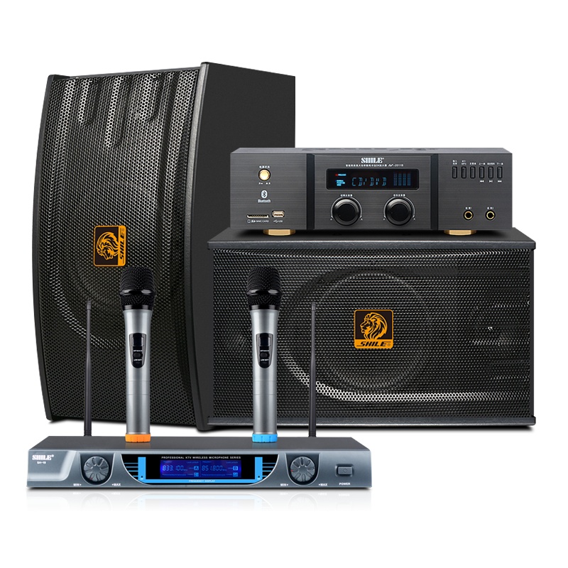 狮乐 2011B/118时尚磨砂黑家庭影院ktv音响家用专业卡拉OK音箱功放机组合会议套装 2011B+118+19