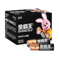 金霸王(Duracell)5号电池20粒装碱性干电池五号适用鼠标键盘相机指纹锁电子秤遥控器儿童玩具门铃