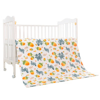 米乐鱼 婴儿四季通用精梳棉小棉被幼儿童秋冬中厚夹棉被床上用品免被套120*150CM