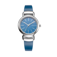 安妮克莱因（ANNE KLEIN）简约经典系列时尚简约树脂表带石英女士手表AK/2865BLSV