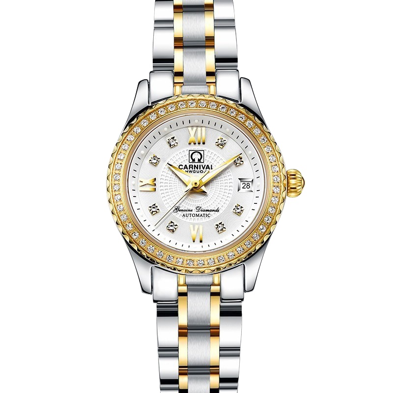 瑞士嘉年华Carnival手表新款女士全自动机械表 女表夜光防水 时尚潮流水钻金属钢带手表满天星魅力腕表8629L