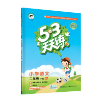 2020版53天天练二年级下册语文人教部编版RJ 小儿郎五三天天练小学2年级下册语文教材同步辅导书训练习册题课堂笔记期末