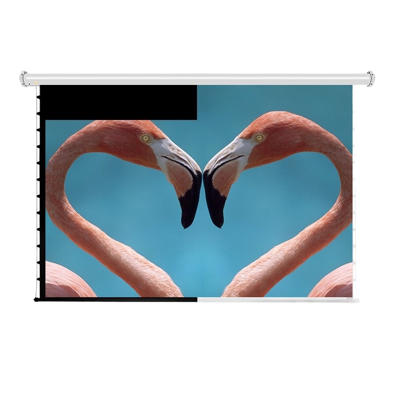 经科 M2-FI/200s 150寸4:3电动遥控投影幕布 白色(单位:块)