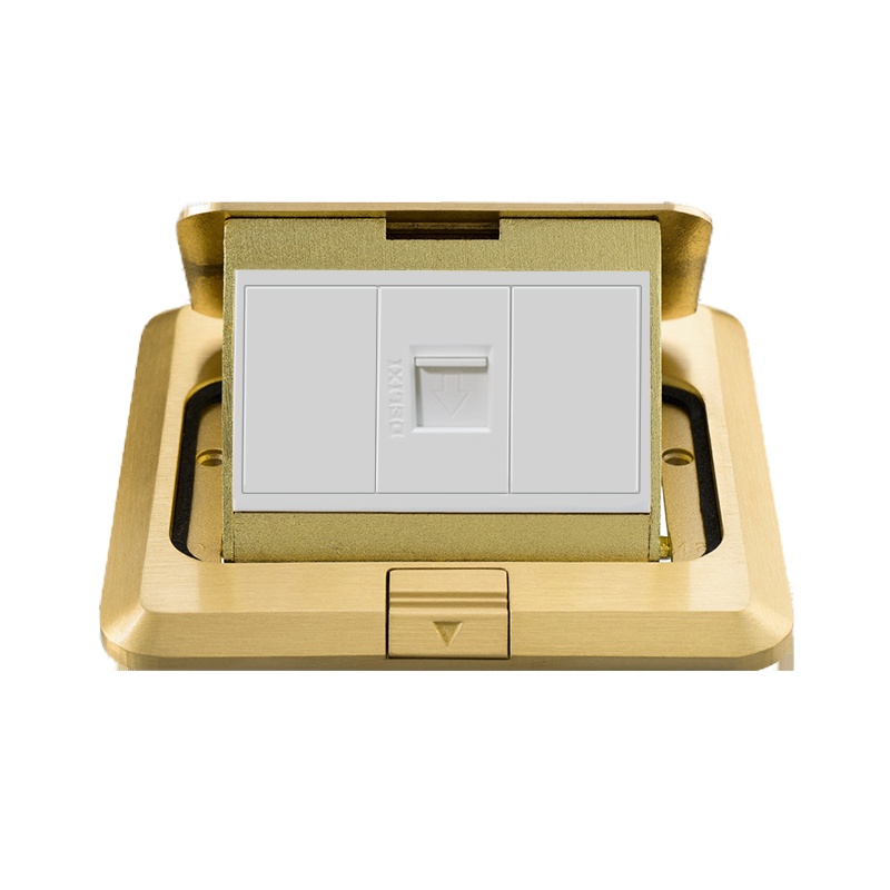 德力西 网络地面插座 单电脑RJ45信息五类网络地板插板 金色 (单位:个)