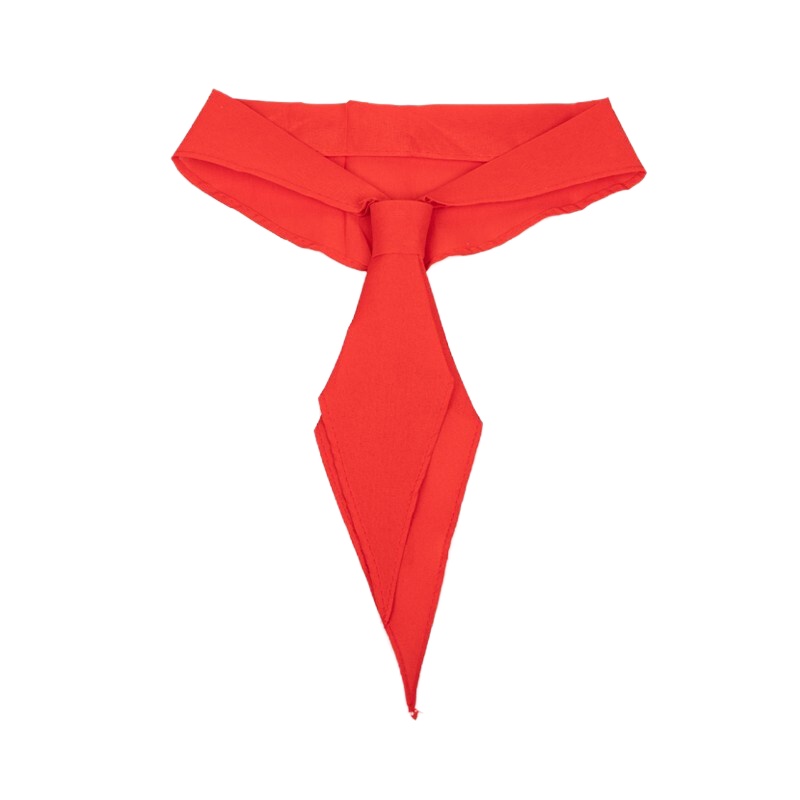 企购优品 免打结红领巾纯棉 拉链小学生红领巾儿童成人红领巾5条装