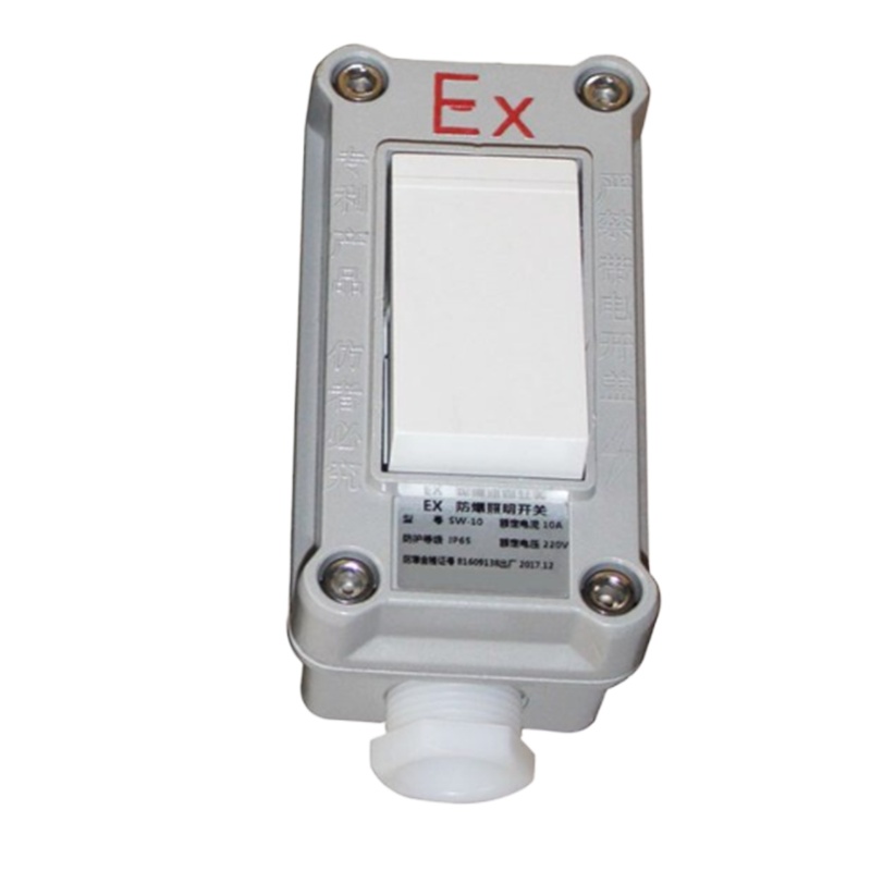 防爆开关 10A,220V,单开