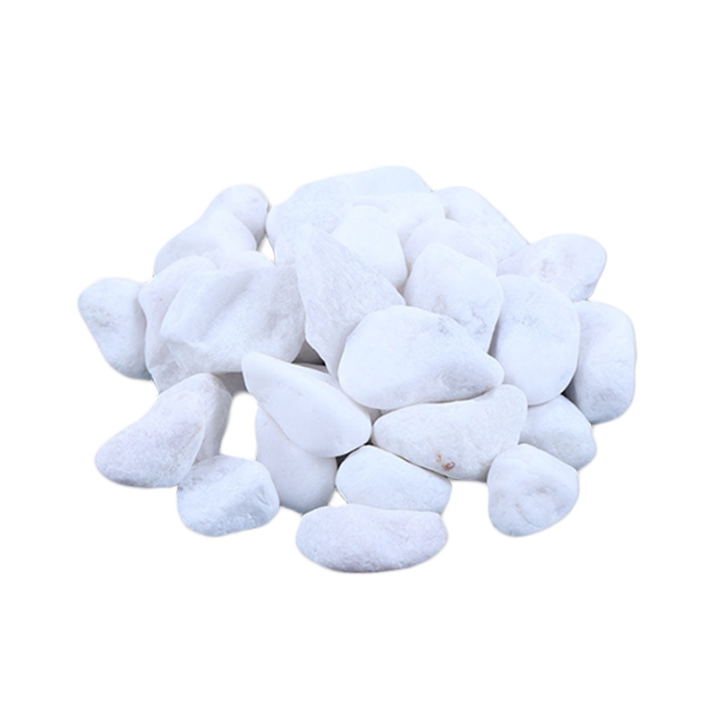 安赛瑞 白色石子(5kg)雪花白小白石子园艺绿植装饰铺面鹅卵石多肉铺面鱼缸石石径1-2cm 企业可定制 500043
