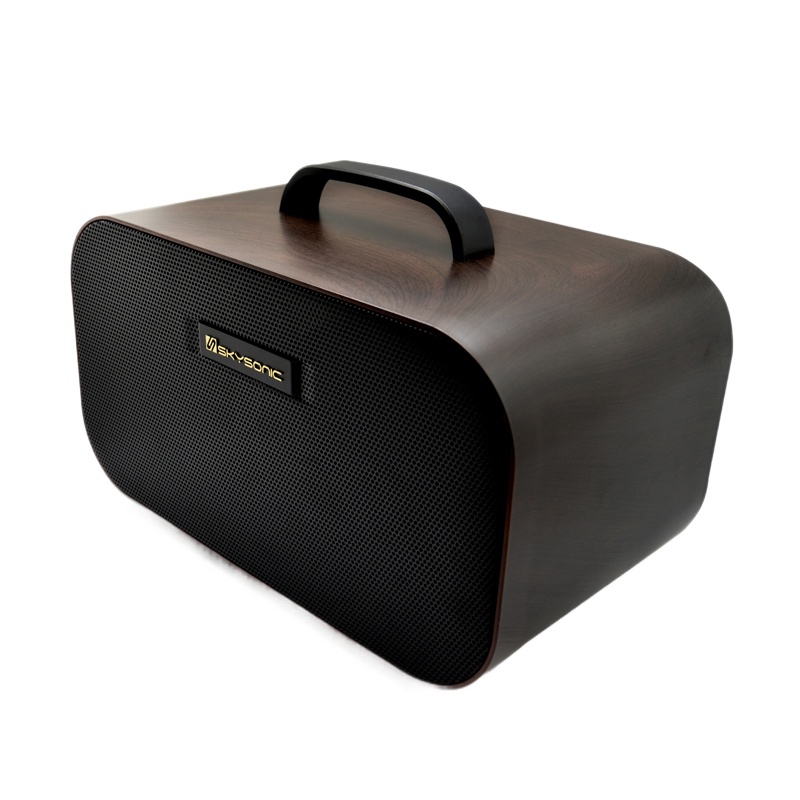 天音吉他音箱S1AC60弹唱电木吉他音响充电街头卖唱户外直播