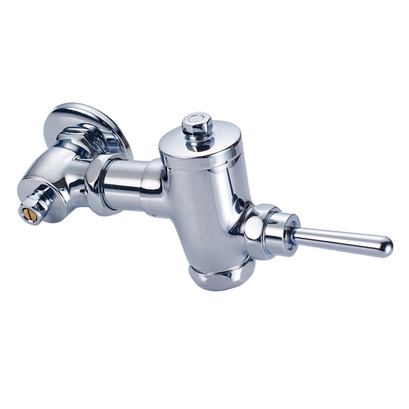 萃姿尔(TRESOR)手压冲洗阀 DN20手动水冲阀FDN-1